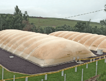 Biogás traz mais sustentabilidade para atividade rural