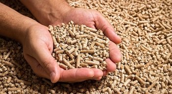 O potencial econômico do Pellet de Madeira no Brasil